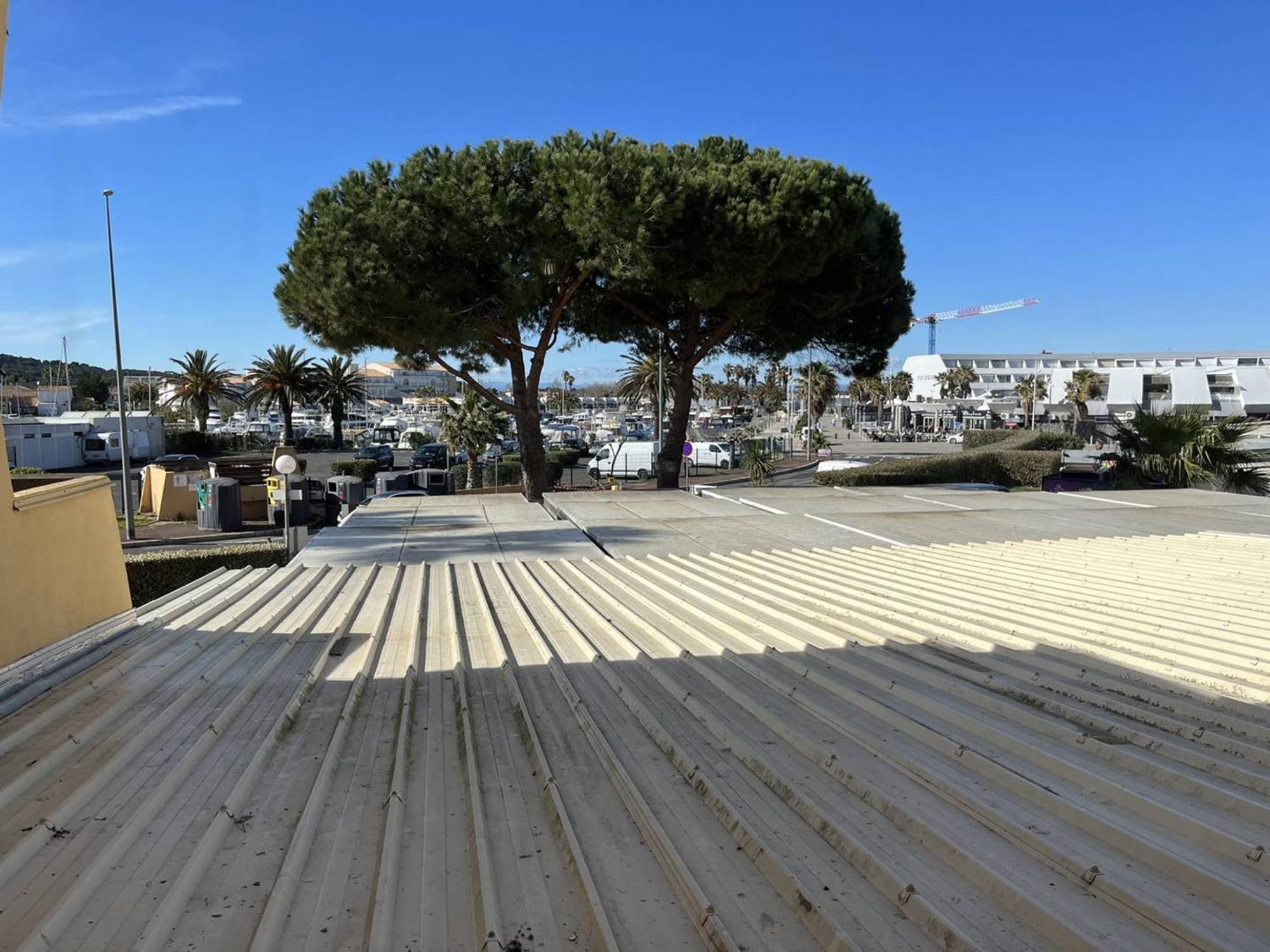 Studio Naturiste Avec Parking Au Cap D'Agde, Proche Plage - Fr-1-249A-15 Apartment Exterior photo